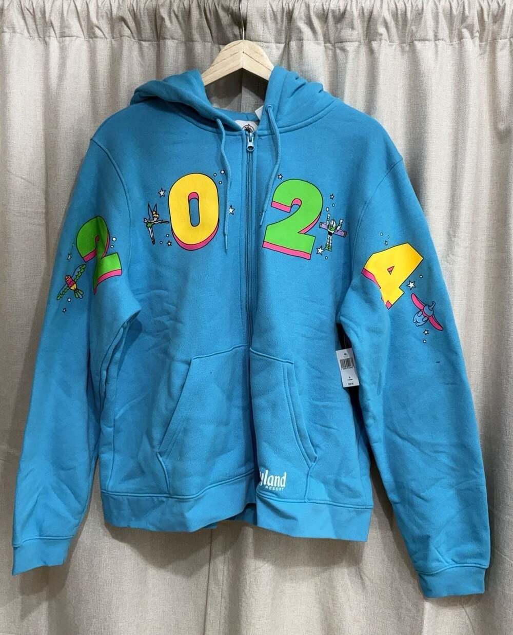 Disneyland Resort 2024 Blue Zip-Up Hoodie Sweatshirt